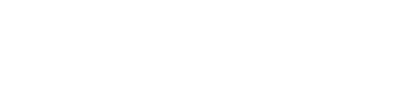 PolicyVisor Insurance Group Logo